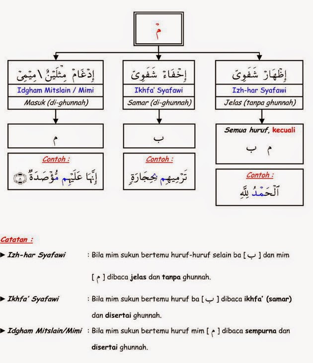 Hukum Bacaan Mim Sukun - Akh-Y(اخي)