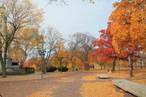 Boston ngập trong sắc vàng ngày cuối thu