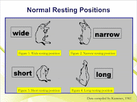 The four normal resting positions - wide, narrow, short, and long.