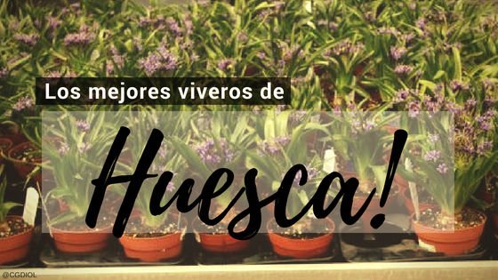 Comprar Plantas Online en Huesca, España