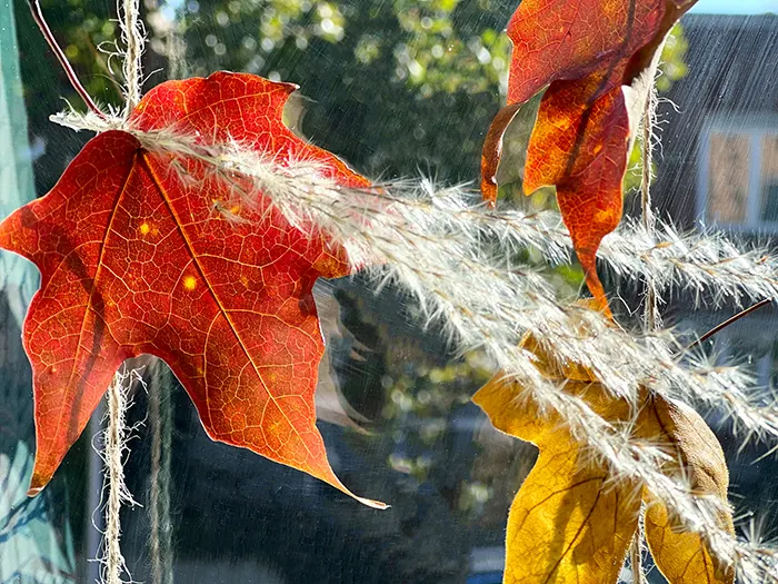 close up of leaves on sun catcher in window