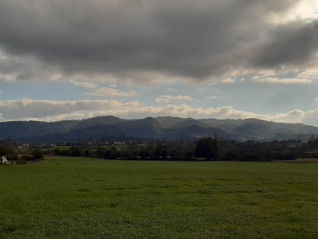 Praderías y Naranco