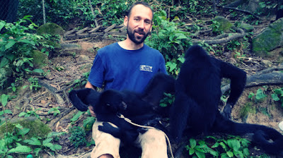 Voluntario con dos monos del proyecto.