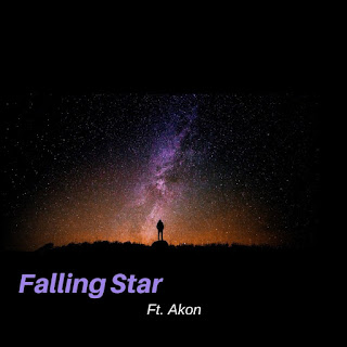 MP3 download Leeson Bryce - Falling Star (feat. Akon) - Single iTunes plus aac m4a mp3