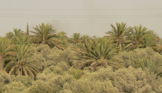 P1220270