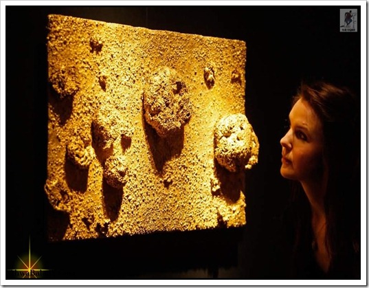 Gold-Photo-ahwabalady (17)
