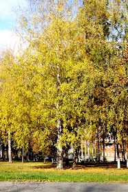 Погода в октябре. Золотая осень, глубокая осень и предзимье. Осень в Удмуртии.