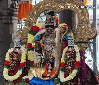 Kathir ARuthal,Thaipoosam, purappadu Sri PArthasarathy Perumal, Perumal, Venkata Krishna , Varushotsavam, 2017, Video, Divya Prabhandam,Triplicane,Thiruvallikeni,Utsavam,