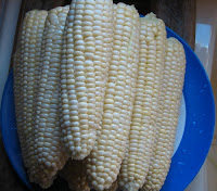 raw corn