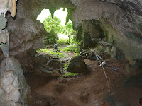 Archaeologists find world's oldest animal cave painting in Indonesia.