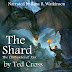 Audiobook Release for Epic Fantasy The Shard