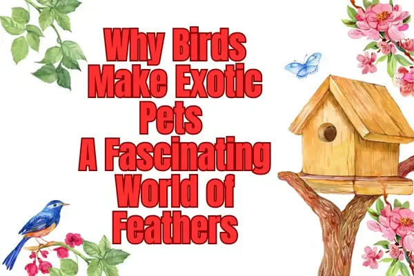 Why Birds Make Exotic Pets: A Fascinating World of Feathers