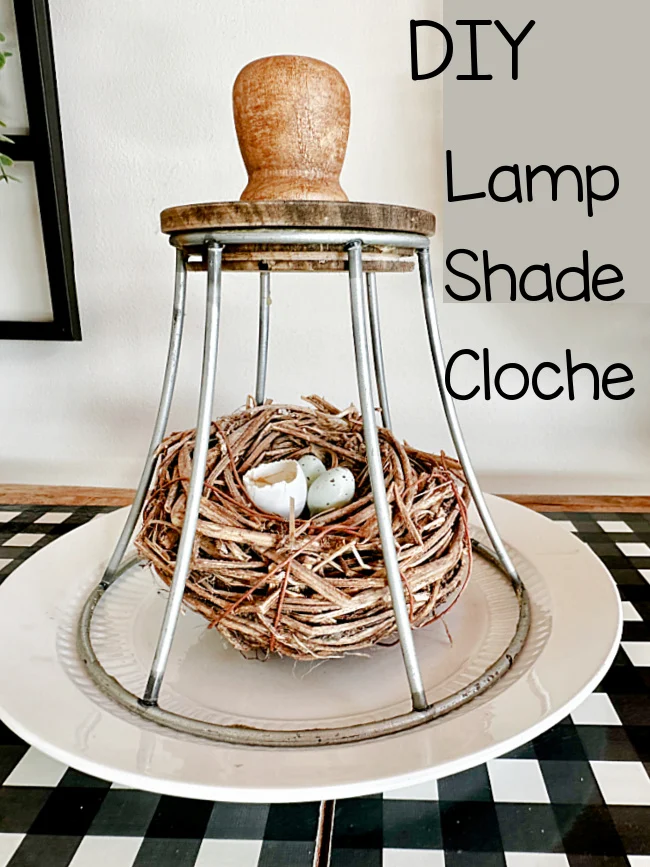 lampshade cloche with overlay