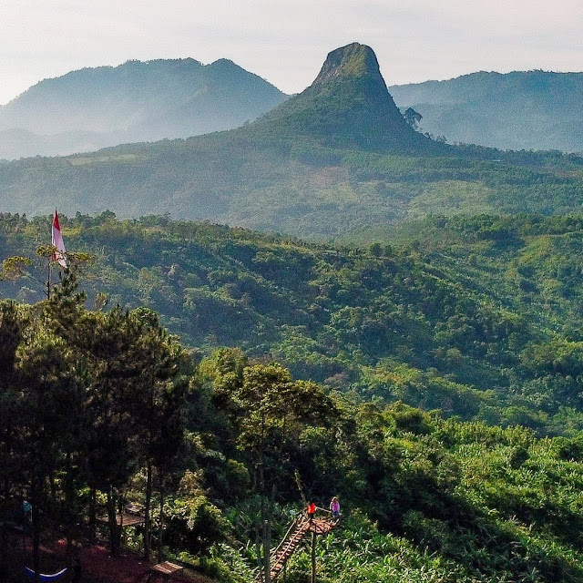 Harga Camping di Jajar Gunung Kinayungan Bogor