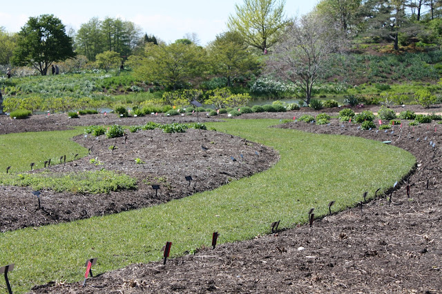 Gardens coming alive in early spring at Chicago Botanic Garden