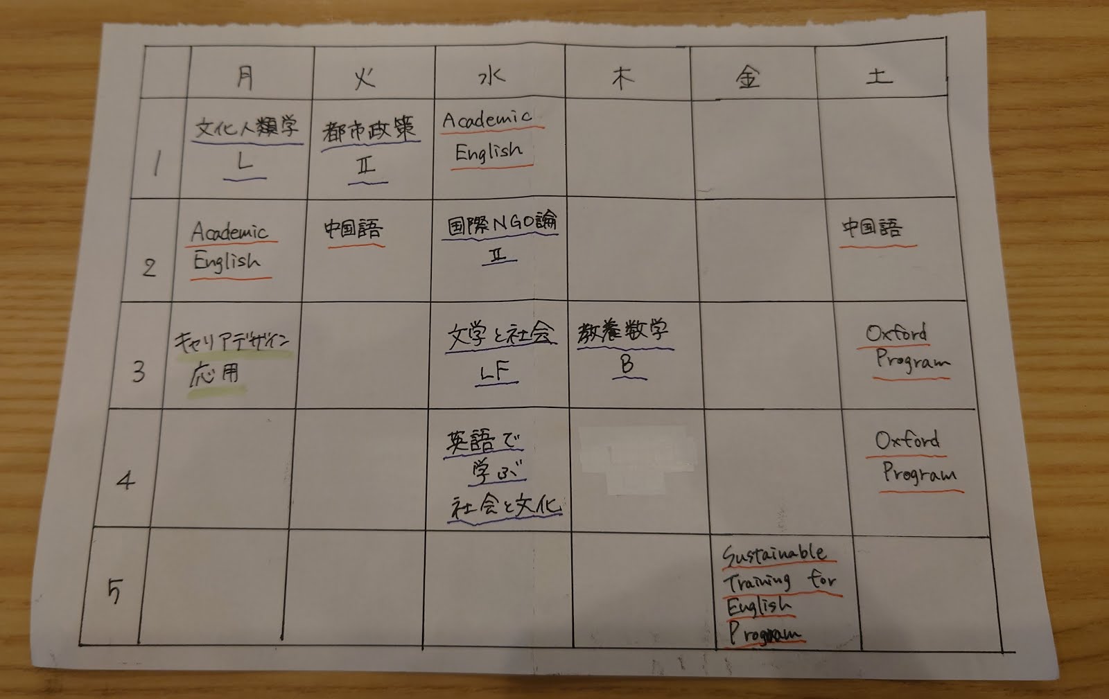 履修シリーズ 法政大学法学部国際政治学科