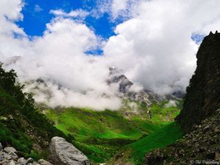  Spring flavor is around the corner in addition to each i of us looks frontward to seeing flowers blo IndiaTravelDestinationsMap: INDIA TRAVEL - ALL ABOUT VALLEY OF FLOWERS NATIONAL PARK UTTARAKHAND