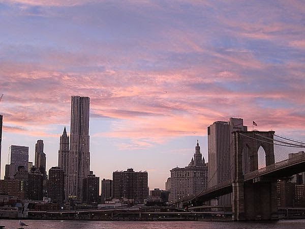IMG_4165.JPG