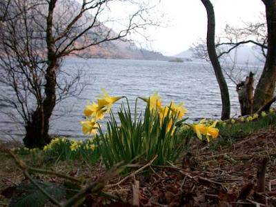 william wordsworth daffodils poem. William Wordsworth#39;s poem,