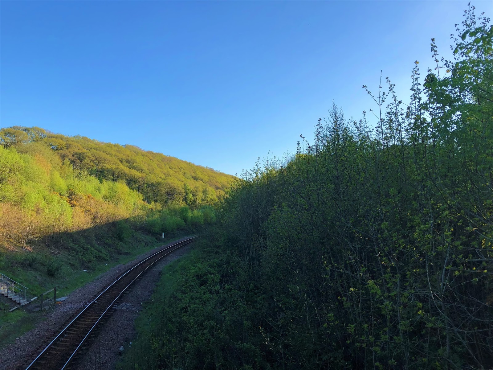 Pictures from a sunny weekend in Sheffield 