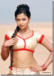 Hot South Actress Amala Paul Photo (45)
