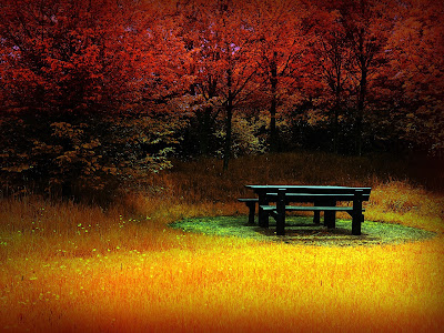 free tranquility of autumn wallpaper