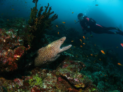 Tempat Wisata Terbaik Sabang Di Pulau Weh Yang Harus Di Kunjungi