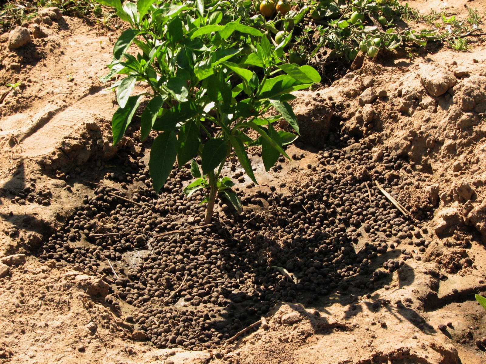 Garden Fertilizer