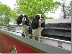 Lily and Daisy (640x480)