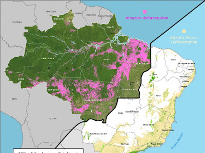 √100以上 brazilian amazon rainforest map 949823-How much of brazil is covered by the amazon rainforest