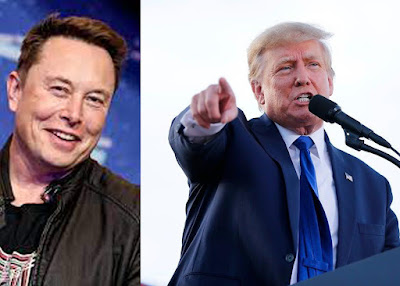 Elon Musk Plans To Lift Trump’s Twitter Ban - scottagain