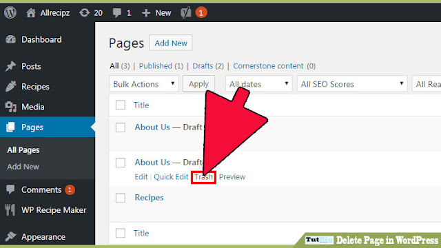  welcome to the TutBig today I volition exhibit you lot  How to Delete Page inwards WordPress Step past times Step Tutorial