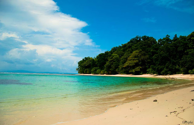 Radhanagar-Beach-Andaman-and-Nicobar-Islands