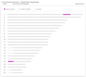 MyHeritage chromosome browser