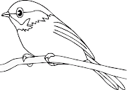 30+ Gambar Mewarnai Sangkar Burung, Spesial!