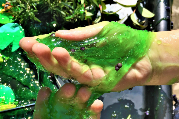 green slime baff on hands with frog spawn