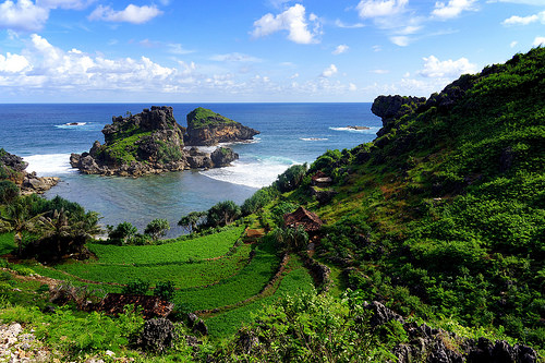 Keindahan Alam Bawah Laut Pantai Nglambor - Gunung Kidul