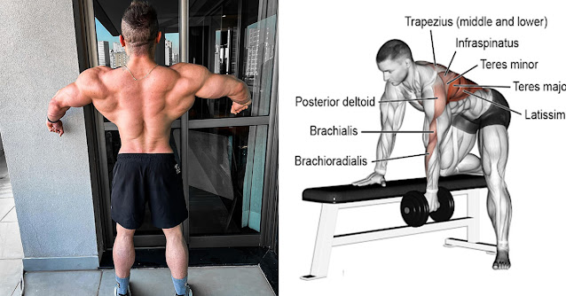 Full Back Workout Using Only Dumbbells