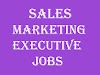 Sales Marketing Executive Jobs In Madinaguda, Hyderabad