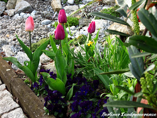 Ziergarten im Frühling