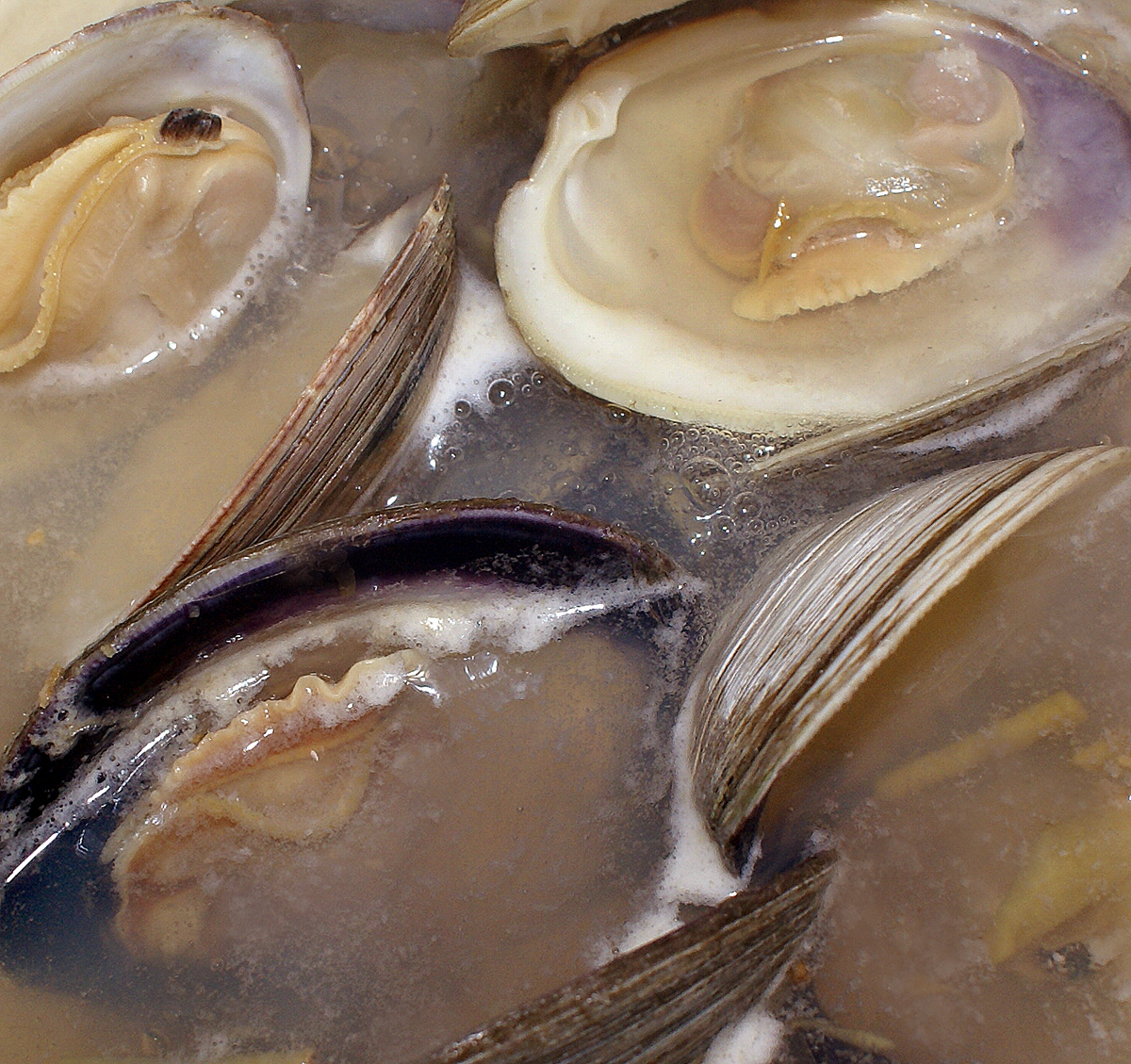 Chinese Ginger and Clam Soup