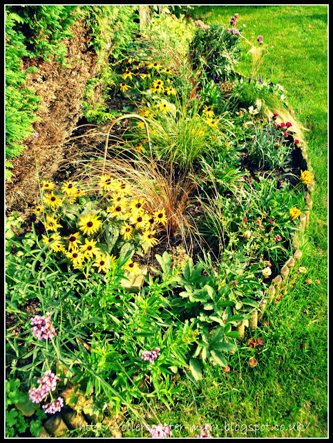 prairie style planting