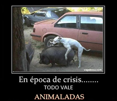 Foto de humor de animales graciosos