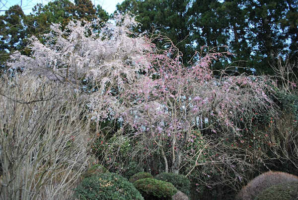 曹洞宗太湖山蒼龍寺