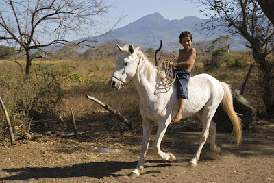 White horse, Nicaragua