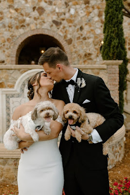 bride groom and dogs