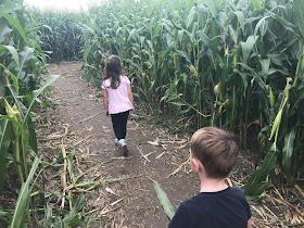 maize maze