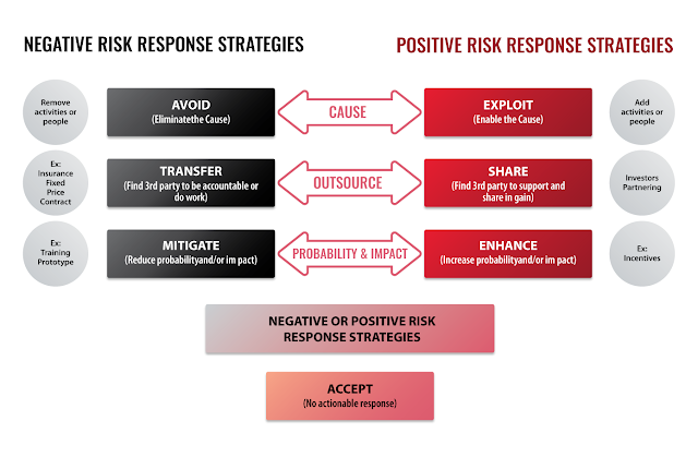 Risk Management Is Project Management for Adults