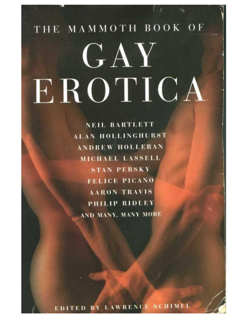 читать книга гей эротика фото 3