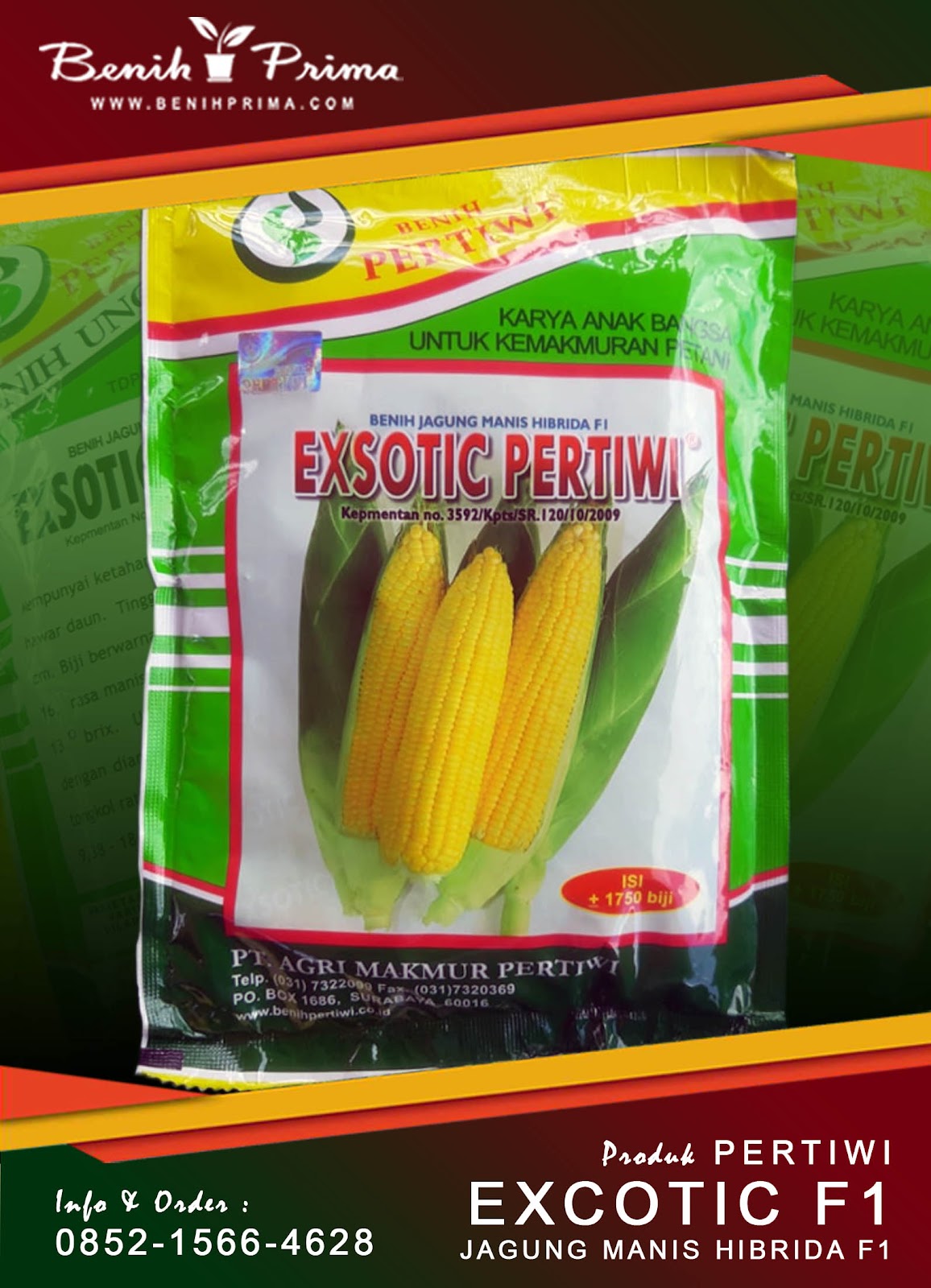 Benih Prima, benih jagung unggul terbaru, benih jagung yang cocok musim kemarau, benih jagung yang cocok di musim hujan, benih jagung, benih jagung perkasa, benih jagung manis terbaik, benih jagung bisi 18, benih jagung terbaik 2022, benih jagung bisi 2, benih jagung nk 212, benih jagung simetal 321, benih jagung nk super, bbenih jagung terbaik, benih jagung r7,